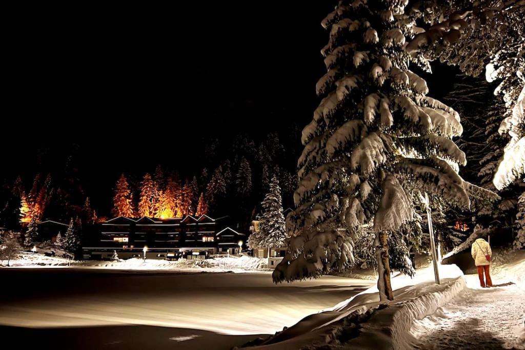 Superbe appartement Champex-Lac avec piscine et sauna v zimě