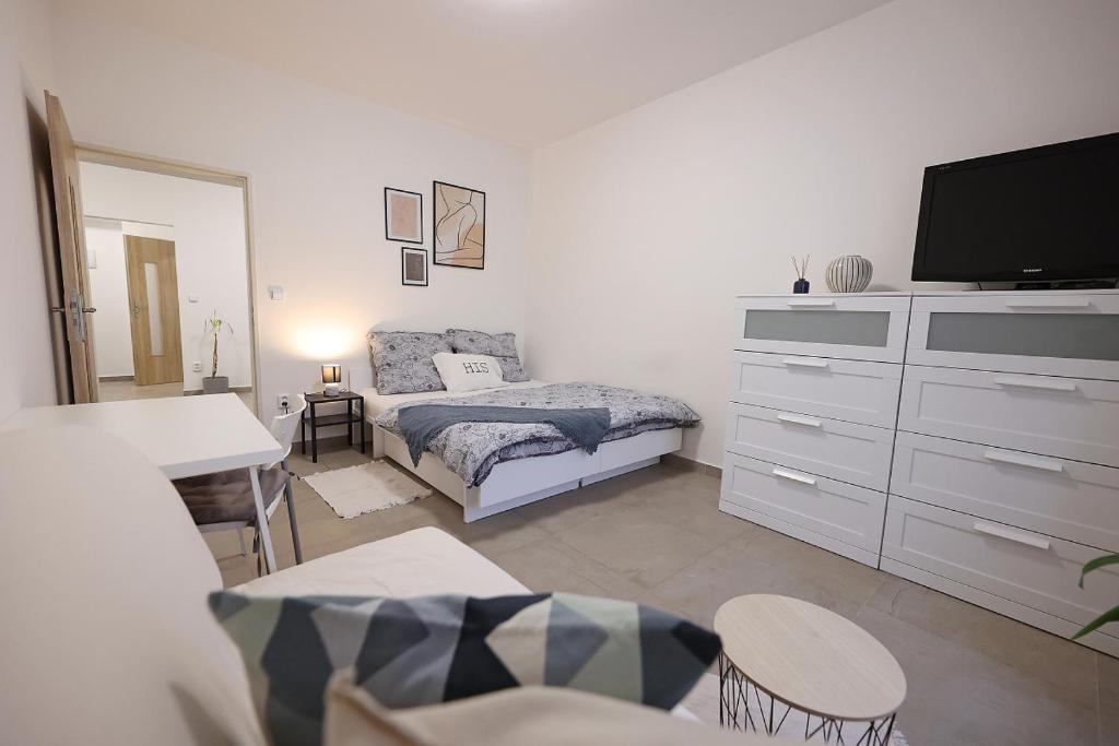 1 dormitorio con 1 cama y vestidor con TV en Fara No71 apart 3 en Libice nad Cidlinou