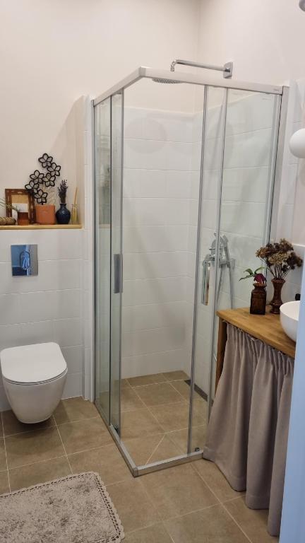 a bathroom with a shower with a toilet and a sink at Kyiv Jungle apartment in Kyiv