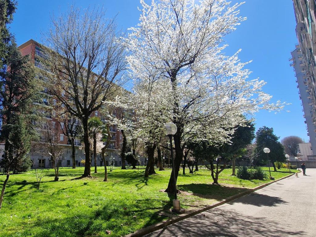 a group of trees with white flowers in a park at Giardino sul Naviglio in Milan