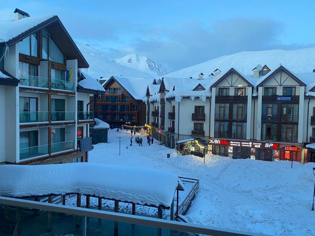 New Gudauri Alpen Apartments v zimě