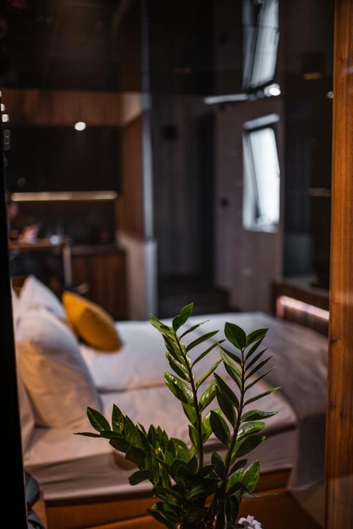 a plant sitting on a table next to a bed at MaLux Nis in Niš