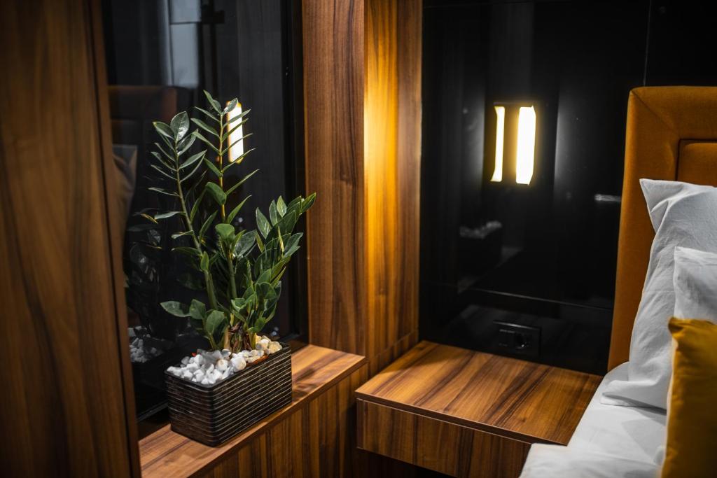 a bedroom with a potted plant on a wooden table at MaLux Nis in Niš