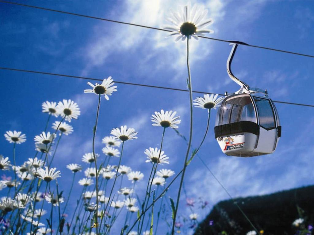 Kép Apartment near the ski area and lake szállásáról Reith im Alpbachtalban a galériában