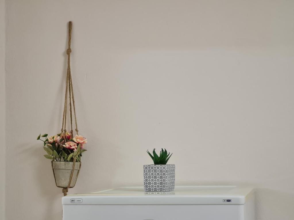 Downtown Boulevard apartment with a cute balcony! - Imazhi 7