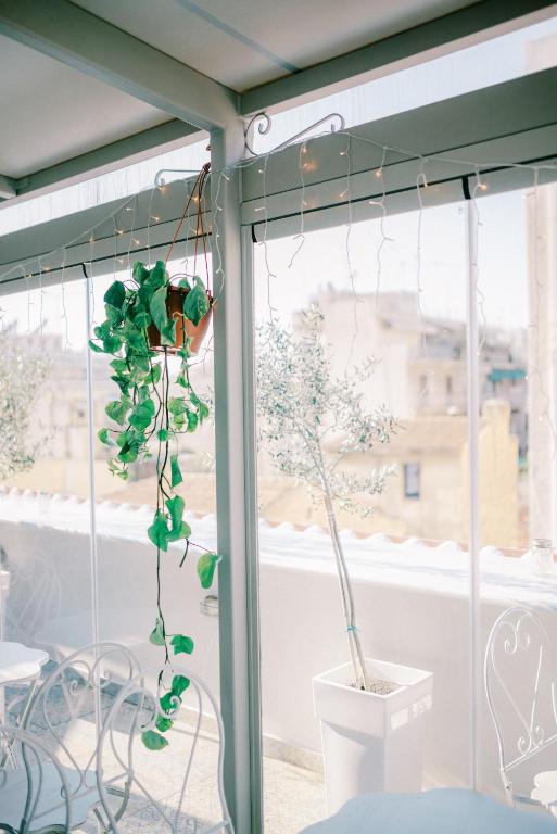 Neapolis 1897 Boutique Luxury Rooms - Resim 26