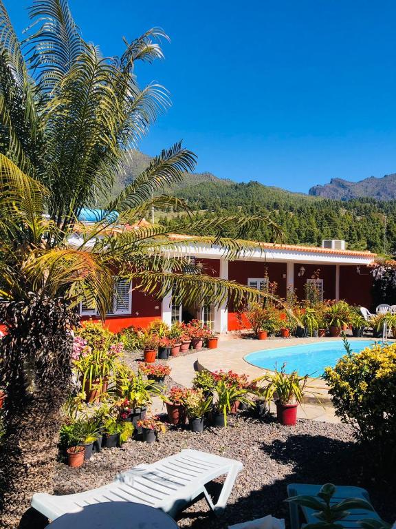a resort with a pool and plants and a building at Catalino I in El Paso