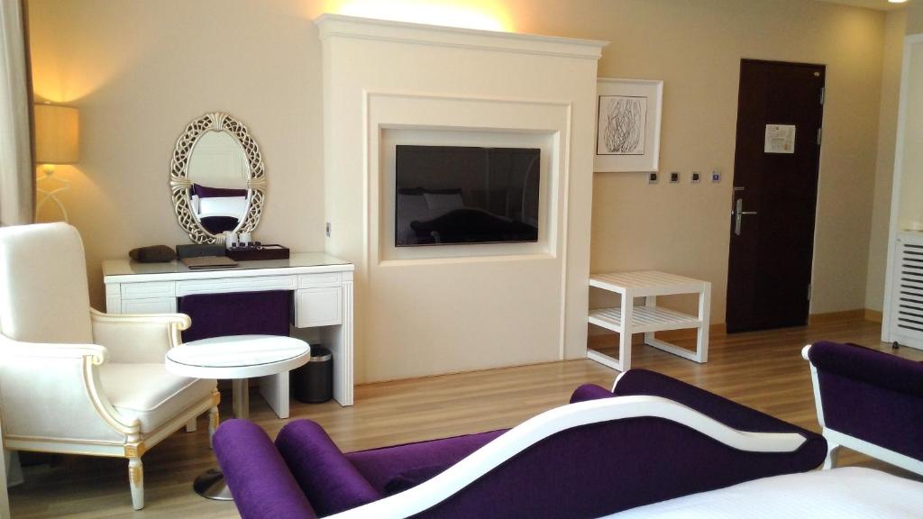 TV a/nebo společenská místnost v ubytování Hotel Modern Puli
