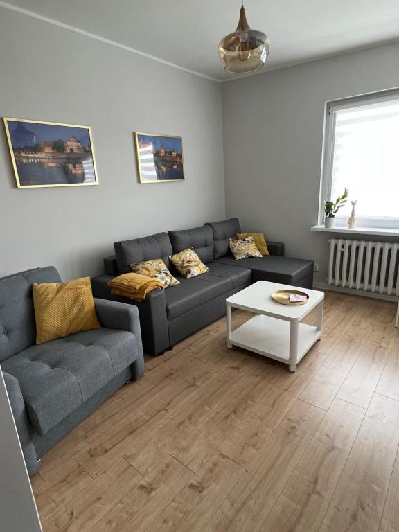 a living room with a couch and a table at Apartament Stare Miasto Malbork in Malbork
