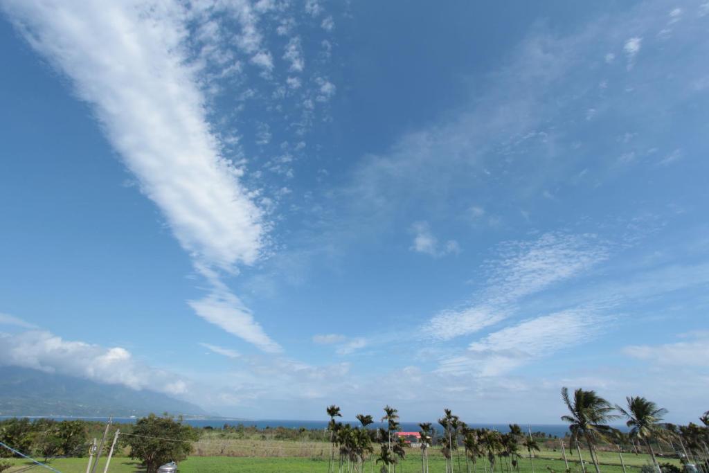 a blue sky with palm trees in a field at Taitung Jia Lulan Tribal in Taitung City