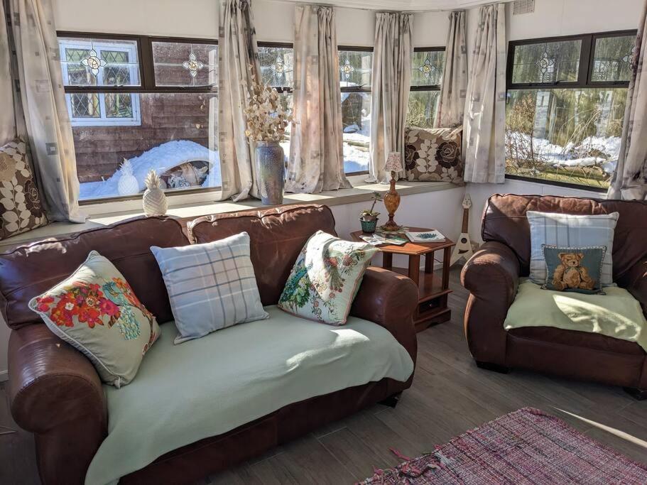 uma sala de estar com 2 sofás de couro e janelas em Ferny Roost Cabin. em Wrexham