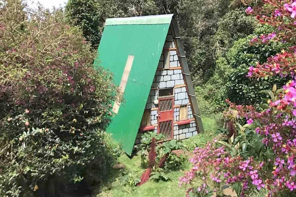 Casa pequeña con techo verde en un jardín en Olorin's Hut, en Copey