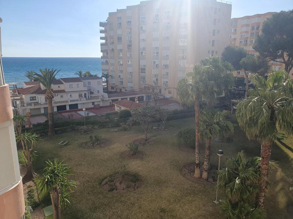 park z palmami przed budynkiem w obiekcie Estudio on the beach w mieście Torrox