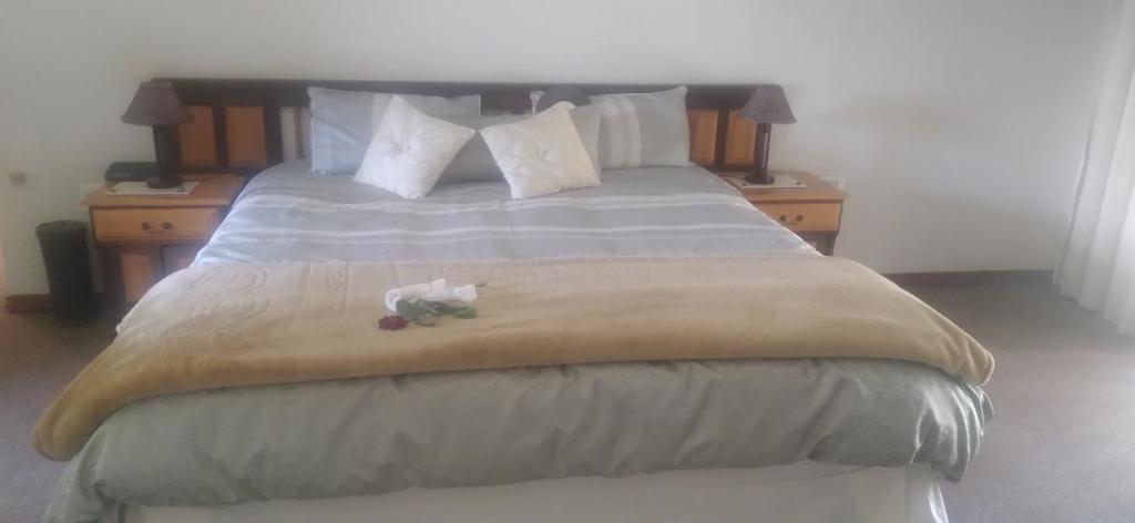 een slaapkamer met een groot bed met 2 nachtkastjes bij Butterfly Guest House in Lekkerrus