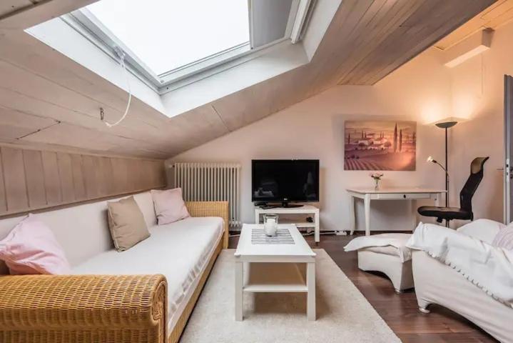 - un salon avec un canapé blanc et une lucarne dans l'établissement Modernes Apartment zum Wohlfühlen, à Kolbermoor