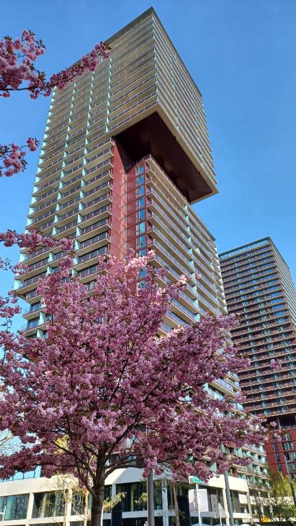Premium Apartment, Family friendly في فيينا: مبنى طويل به شجرة مزهرة أمامه