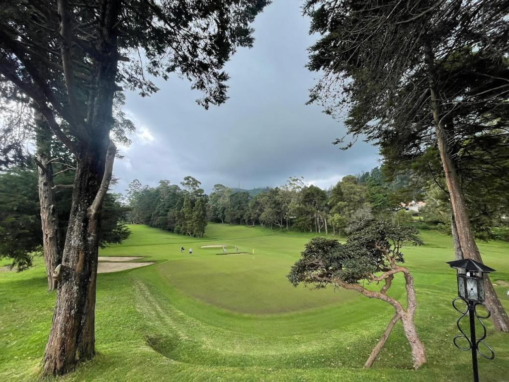 Golf v apartmánu nebo okolí