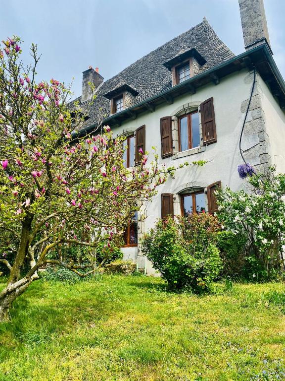 a white house with a flowering tree in front of it at La maison de Marie in Junhac