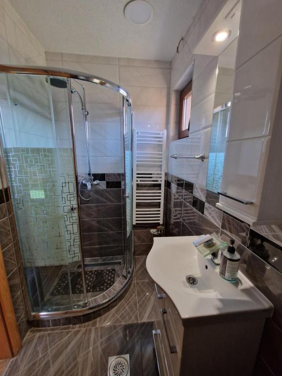 ein Bad mit einer Dusche und einem Waschbecken in der Unterkunft Dani apartment in Vrdnik