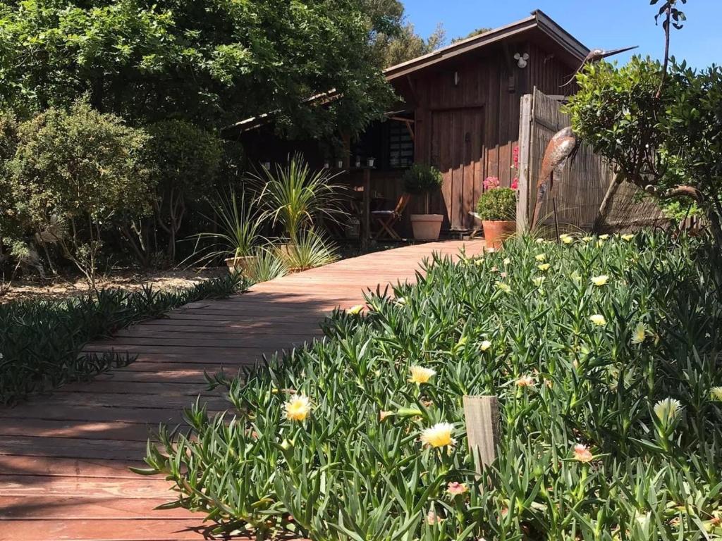 a walkway in front of a house with flowers at Cabane ZEN OCEAN, les cabanes océanes Montalivet in Vendays-Montalivet