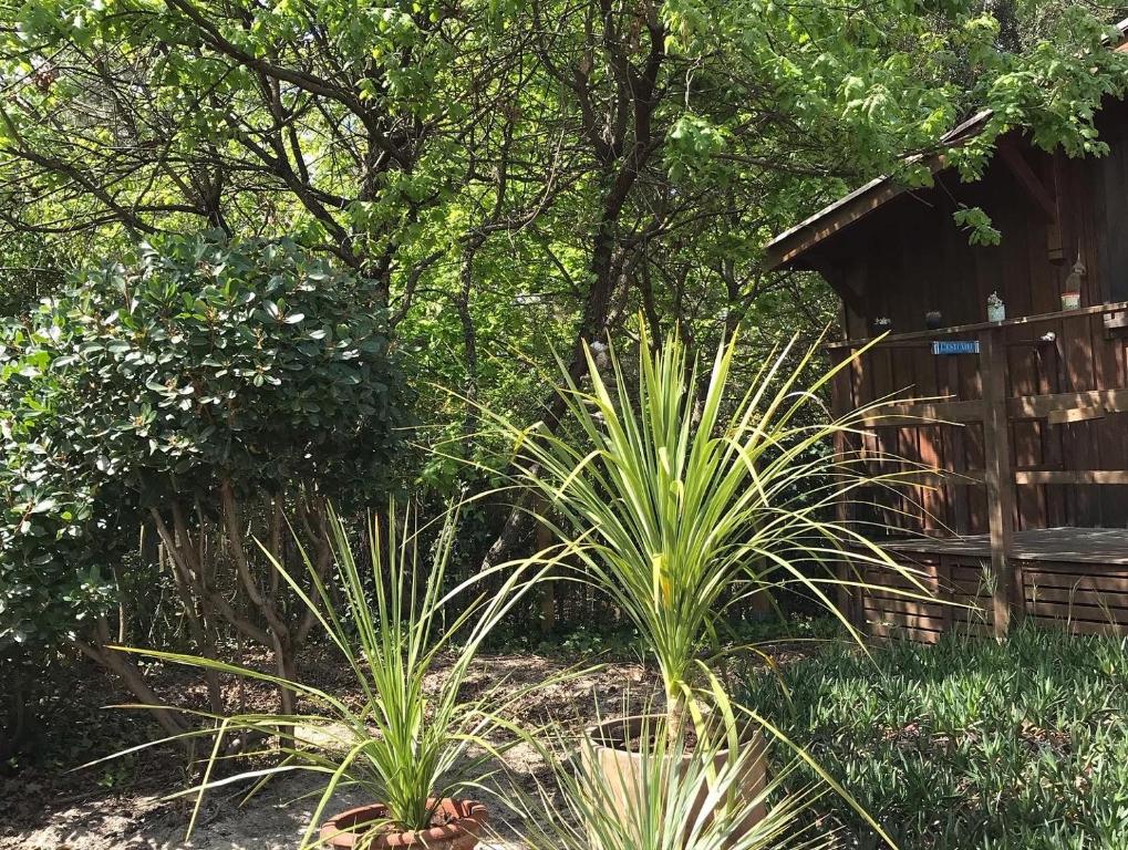 Zahrada ubytování Cabane ZEN OCEAN, les cabanes océanes Montalivet