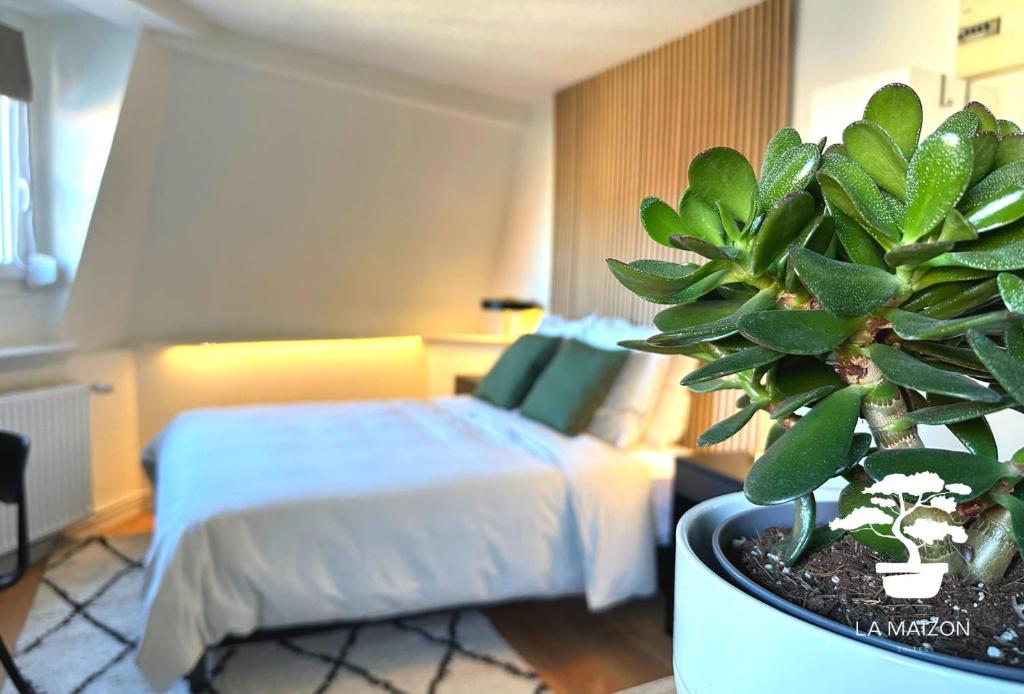 une chambre d'hôtel avec un lit et une plante en pot dans l'établissement Suite dernier étage Saint-Maur, à La Madeleine