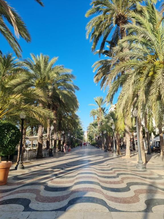 Casa Verde Alicante, Alicante – Updated 2023 Prices