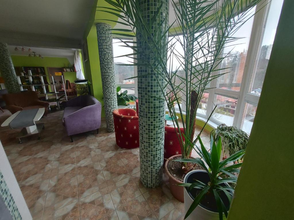 ein Wohnzimmer mit vielen Topfpflanzen in der Unterkunft Prenájom v súkromí Krompachy in Krompachy