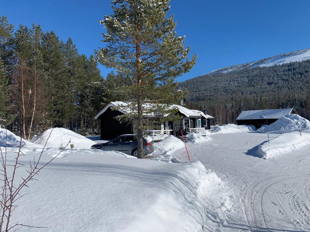 um carro estacionado em frente a uma cabana na neve em Nymon Mountain Lodge em Stöten