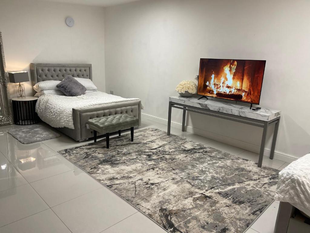卡地夫的住宿－CF14，客厅设有一张床和一个壁炉