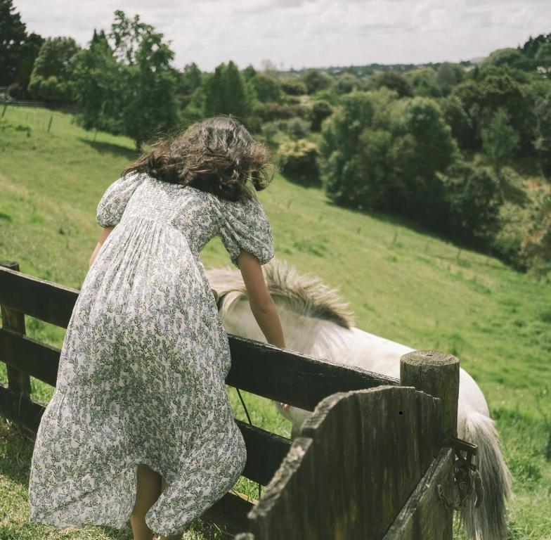 The little cottage - Resim 17