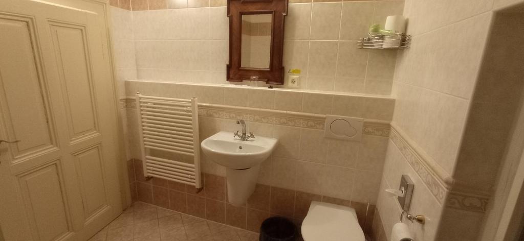 Hotel U Zlateho jelena - Resim 43