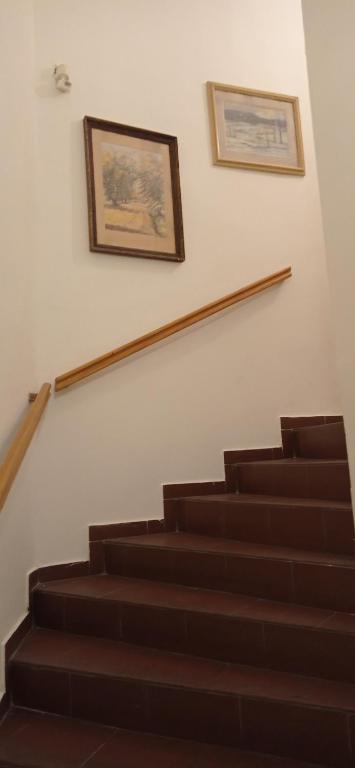 Hotel U Zlateho jelena - Resim 45