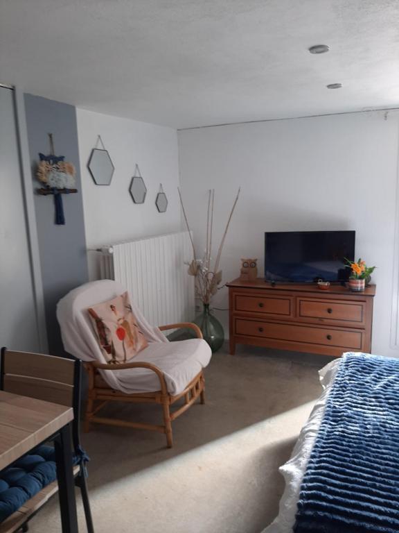 TV a/nebo společenská místnost v ubytování Chambre d'hôte Chez Josie