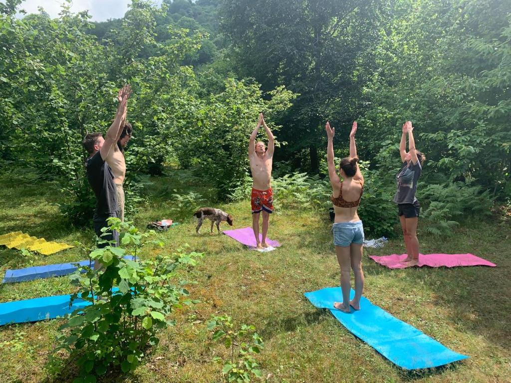 Hosté ubytování Dumbo Eco Camp