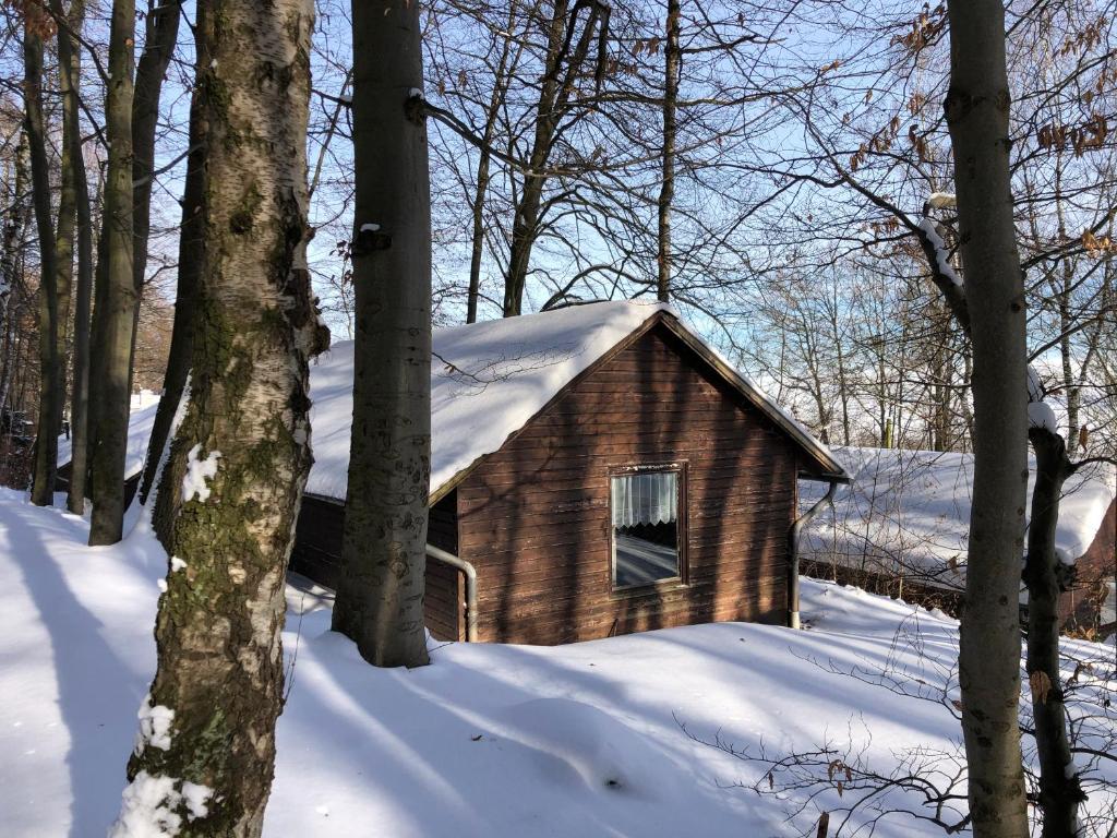 a wooden cabin with snow on the roof in the woods at Schwedische Winter Hütte unter Buchen in Landolfshausen