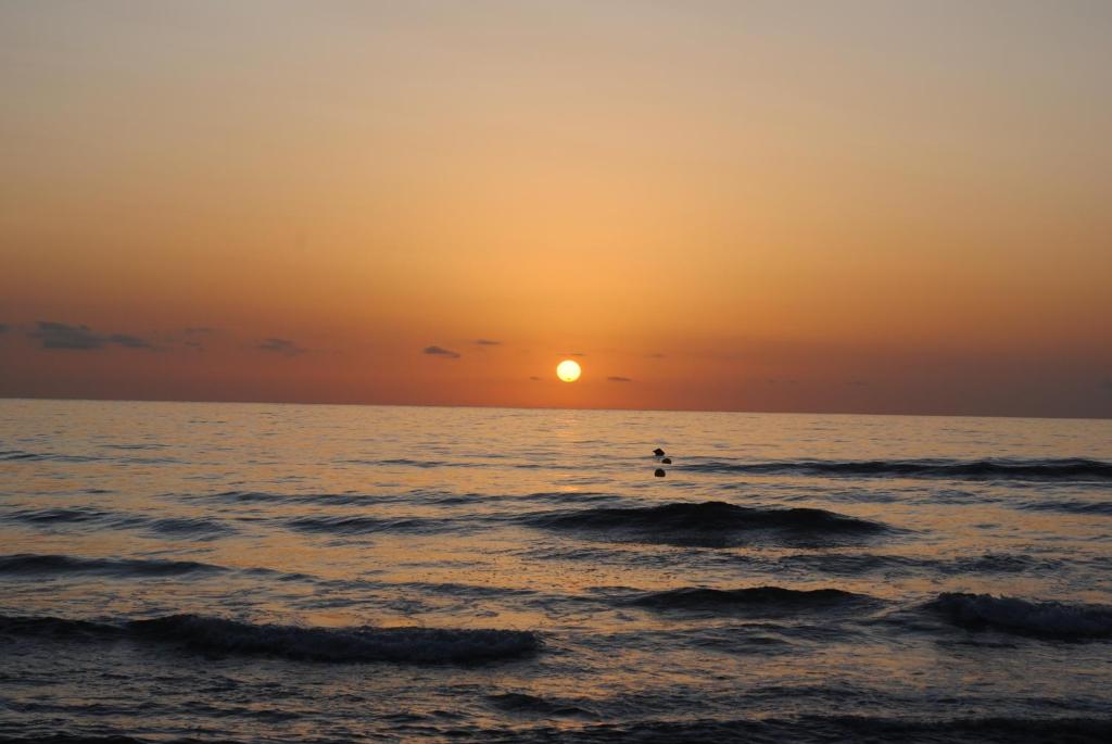 Fotografia z galérie ubytovania apartamento Gandiazar 4 playa, VT-52979-V v destinácii Playa de Gandia
