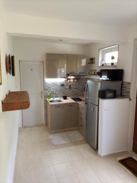 Kuchyňa alebo kuchynka v ubytovaní Studio Apartment Lile