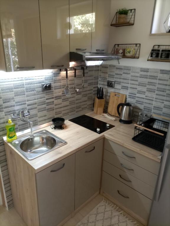 Kuchyňa alebo kuchynka v ubytovaní Studio Apartment Lile