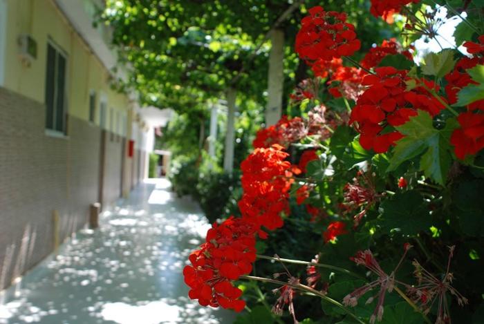 Fotografie z fotogalerie ubytování Manao Summer House v destinaci Tsilivi