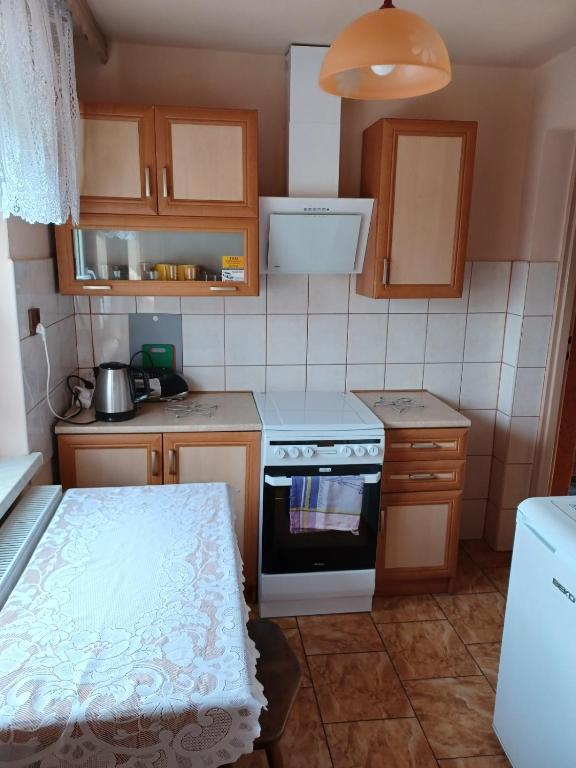Kuchyňa alebo kuchynka v ubytovaní Domek u Piotra koło Szczyrku