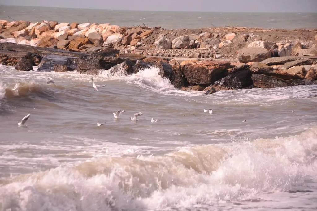 um bando de gaivotas voando sobre as ondas do oceano em Sweet Cecina Mare em Cecina