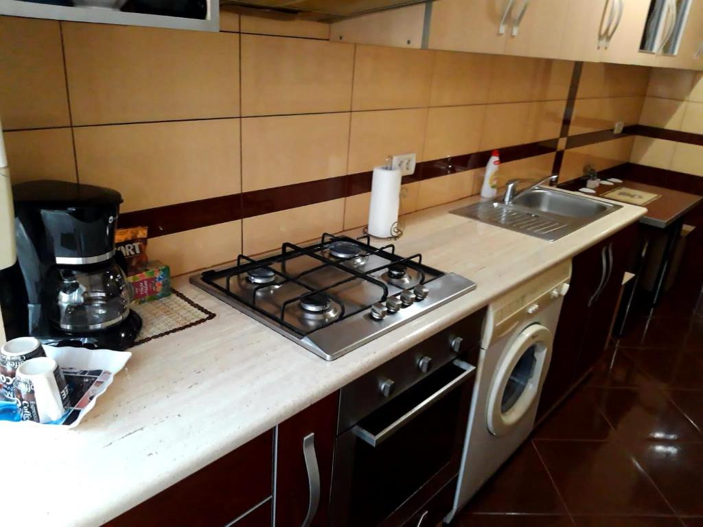 cocina con fogones horno de arriba junto a un fregadero en Apartament Modern Family, en Târgu Ocna