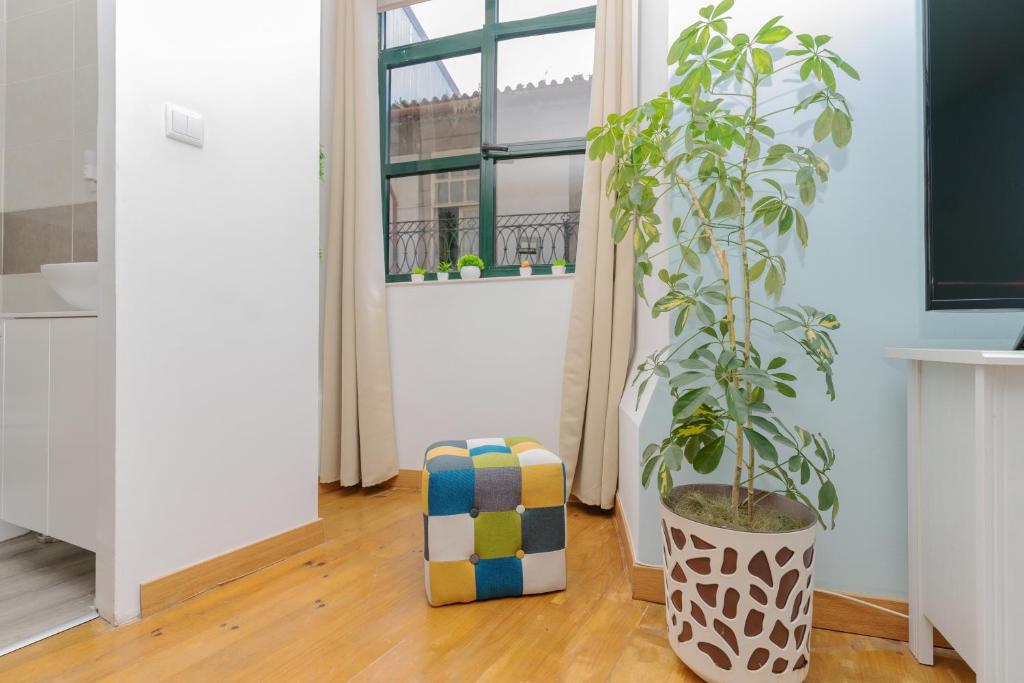 Sunny Oporto, Douro Apartments - 12