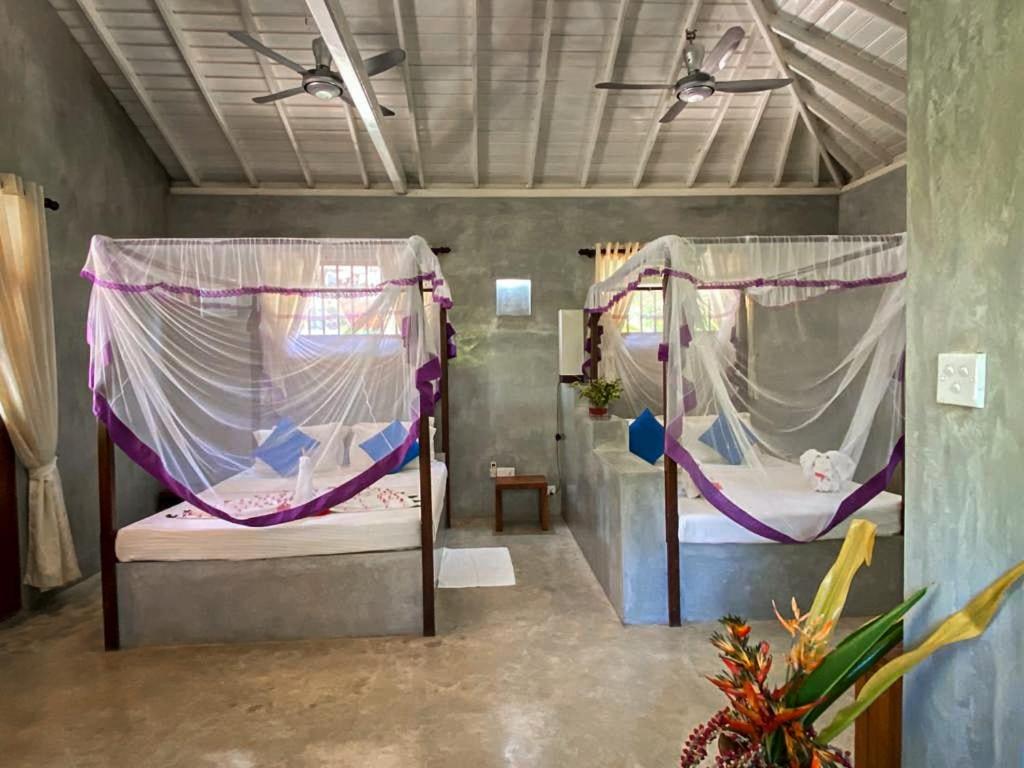 Mangrove Beach Chalets - 11