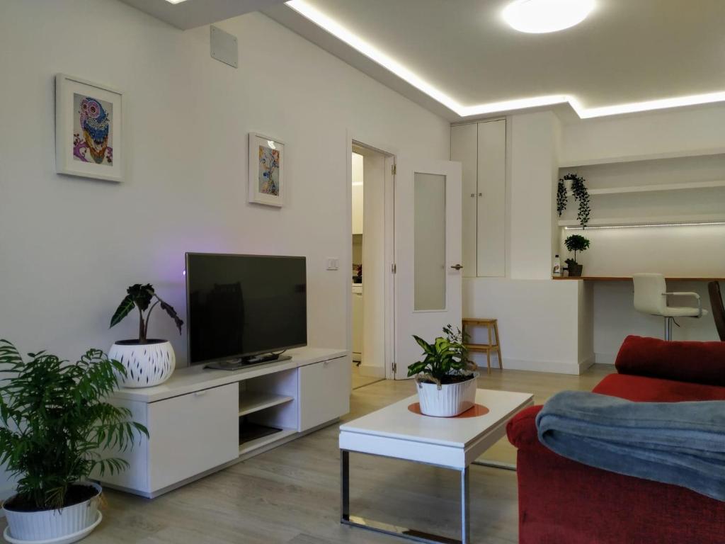 a living room with a flat screen tv and potted plants at Casa con jardín, 1 habitación, barbacoa in Collado Mediano