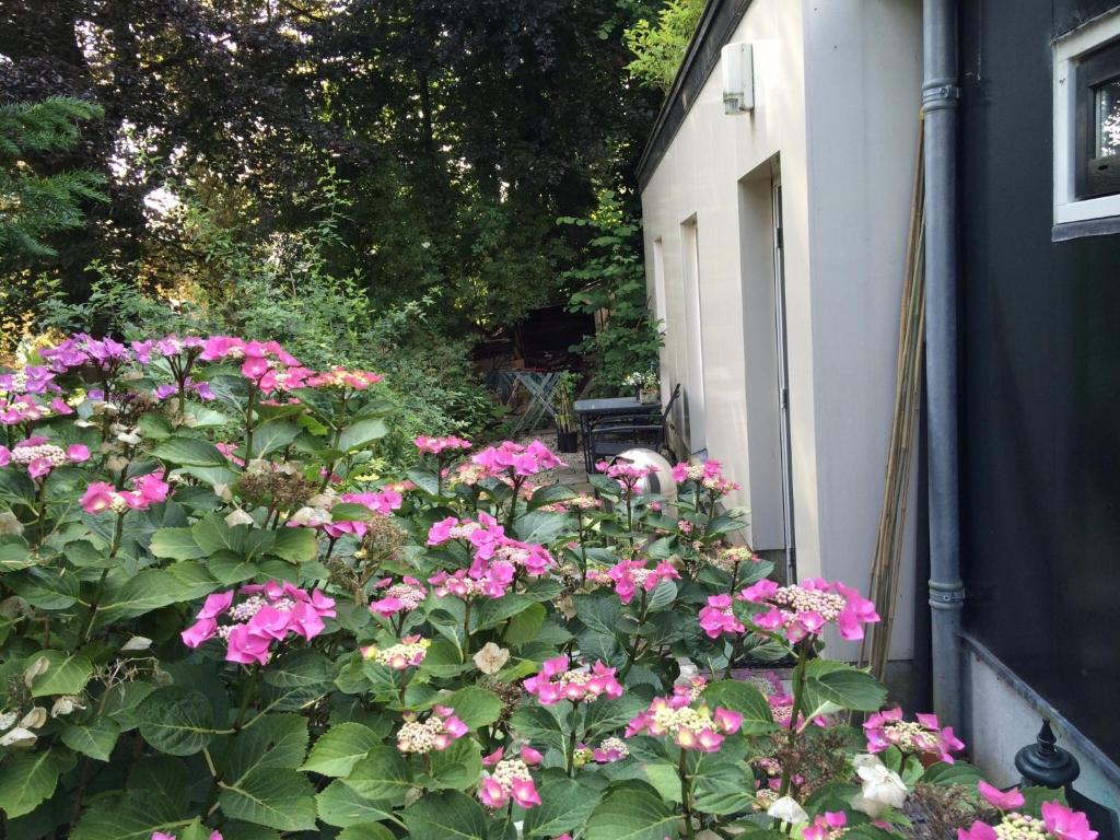Bed&Brood Comon في Ubbergen: حوش من الزهور الزهرية بجوار منزل