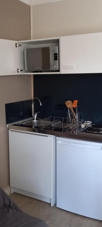 eine Küchentheke mit einer Spüle und einer Mikrowelle in der Unterkunft Chez Zabou in Rosières