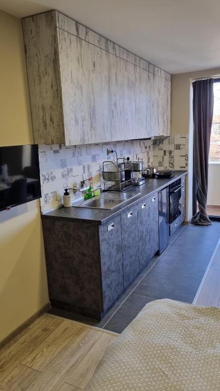 kuchnia ze sprzętem ze stali nierdzewnej w pokoju w obiekcie Premium Lux apartment w mieście Montana