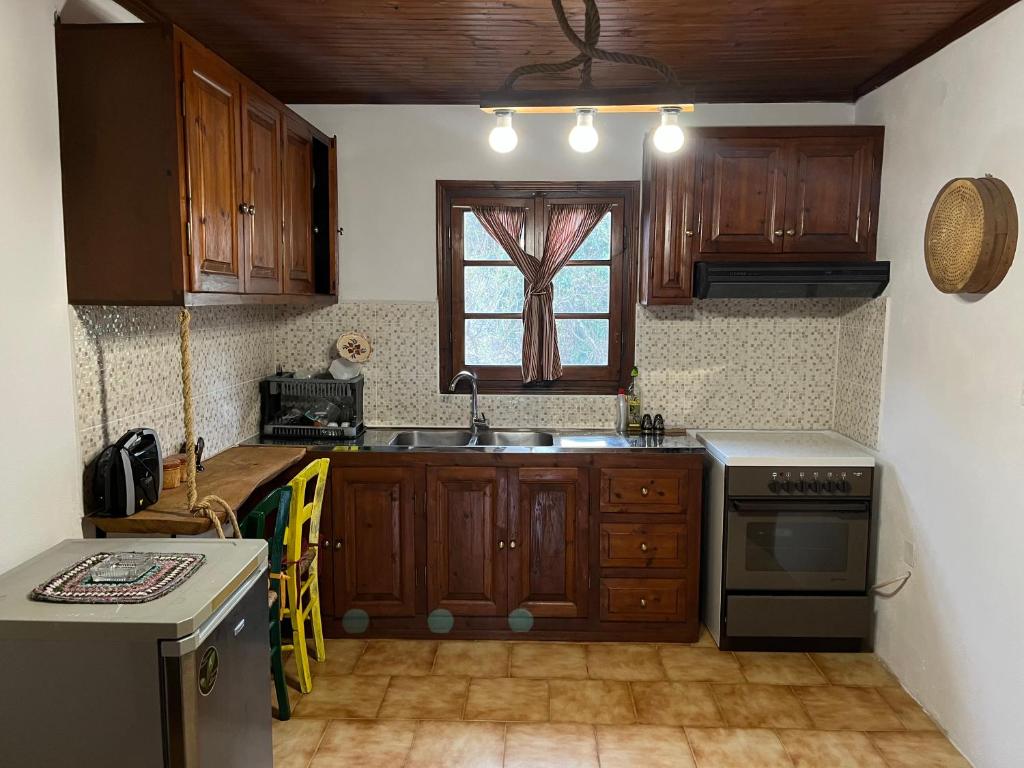 Kuchyň nebo kuchyňský kout v ubytování Mr Apostolos Guesthouse